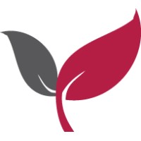 Everbyte srl logo - Similar company to Coding Sharks