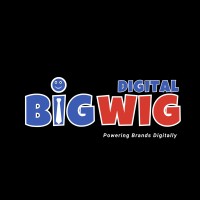 Bigwig Digital logo - Similar company to Kode89