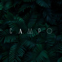 CAMPO logo - Similar company to Agência Grillo