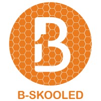 B-SKOOLED logo - Similar company to Instituut Sprinng