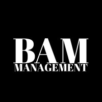 BAM Management logo - Similar company to La Talent