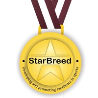 Starbreed Nigeria logo - Similar company to Wedigraf Technologies Ltd