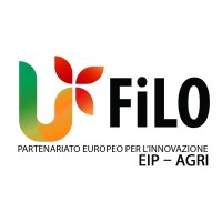 Rete FILO logo - Similar company to Thebroda