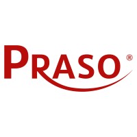 PRASO GmbH - IT Services & Praktische Software logo - Similar company to Synrg Software & It Solutions