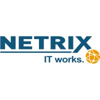 NETRIX IT Service GmbH logo - Similar company to Technologie Team
