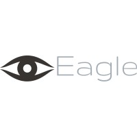 Eagle Analytics logo - Similar company to Eagle