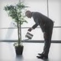 The Remote CFO logo - Similar company to Remote Cfo