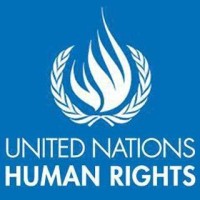 United Nations Human Rights logo - Similar company to United Nations Office At Geneva