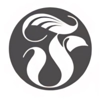 Falcon Investment Management logo - Similar company to Net Worth