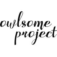 Owlsome Project logo - Similar company to Owlsome Studio