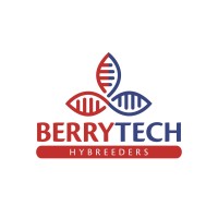Berrytech - Hybreeders logo - Similar company to G-Berries