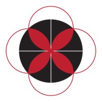 IDEA Analytics logo - Similar company to Auditopia