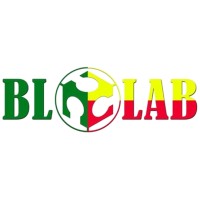Blolab Benin logo - Similar company to Ecole229