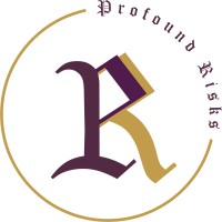 Profound Risks Services LLP logo - Similar company to Sr Buildcon