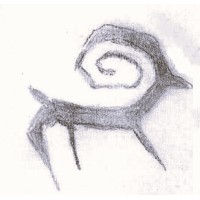 NOMAD Science