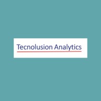 Tecnolusion Analytics logo - Similar company to High Ranking Solutions