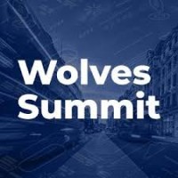 Wolves Summit logo - Similar company to Orangesoft