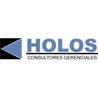 Holos Consultores logo - Similar company to Holos - Counseling