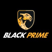 Black Prime Brasil logo - Similar company to Vipes Do Brasil