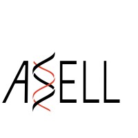 ASELL logo - Similar company to Ironline Consulting, Llc