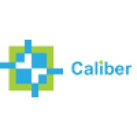 Caliber Embedded Technologies India P Ltd logo - Similar company to Geniocode, Inc