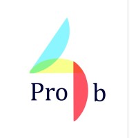 Pro4b logo - Similar company to Zara’S Kitchen