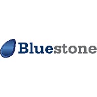 Bluestone Capital logo - Similar company to Rockelis Partners