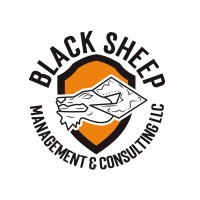 Black Sheep Management & Consulting logo - Similar company to Black Sheep Global