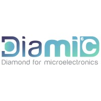 Diamic logo - Similar company to Spherepoint.
