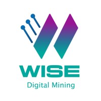 I&T WISE logo - Similar company to Mine & Flows