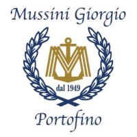 Mussini Giorgio srl logo - Similar company to C&C Sistemi