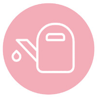 SEO for Startups logo - Similar company to Seo Bridge