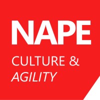 NAPE Culture & Agility logo - Similar company to Les Capitaines