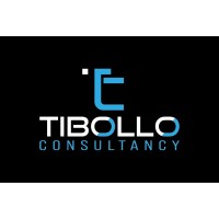 Tibollo Consultancy logo - Similar company to Domotion