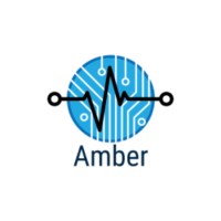 Amber AI logo - Similar company to Hayv Gmbh