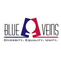 BlueVeins logo - Similar company to Rozan Pakistan