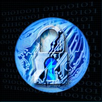 Fedora Prime LLC logo - Similar company to Let Tech Solutions Ltd