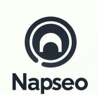 Napseo logo - Similar company to Glass Talleres