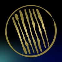 Black Excellence Fund logo - Similar company to Indigenous Defence & Infrastructure Consortium (Idic)