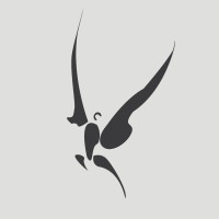 Icarus Rise logo - Similar company to Milostudio