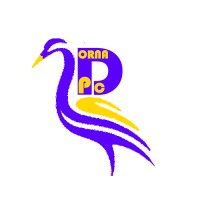 Dorna Pc / درنا پی سی