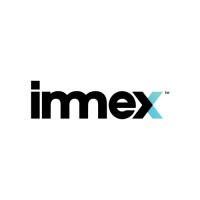 Immex Group International logo - Similar company to Immex Group