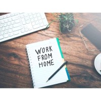 work from home logo - Similar company to Wings