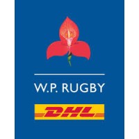 Stormers/WP Rugby logo - Similar company to Imgn Technologies