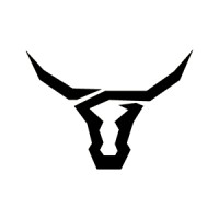 Toro Network logo - Similar company to Ready Group Go!