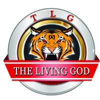 TLG SECURITY logo - Similar company to Tlg Management
