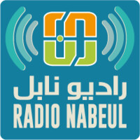 Radio Nabeul logo - Similar company to Webuzz