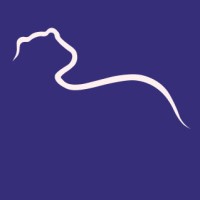 Weasel Studio logo - Similar company to Red Road