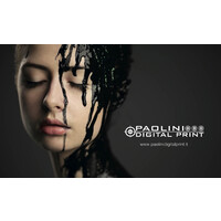 Paolini Digital Print logo - Similar company to Offitek Srl