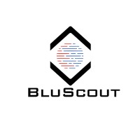 BluScout Cybersecurity logo - Similar company to Delta Threatlabs